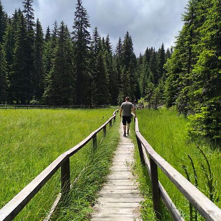 Apartments S73&S74 Milmari Resort, Kopaonik Dış mekan fotoğraf